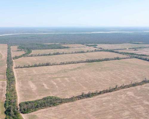 Pcia. de Salta - Embarcacion 1370 Has