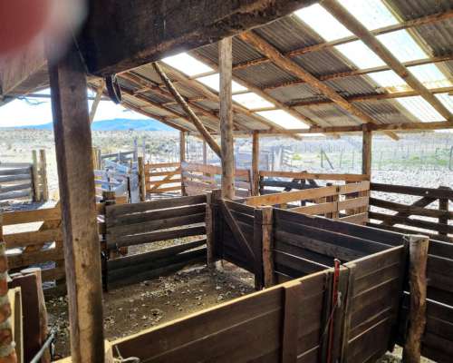 Campo Mixto en Esquel, Precordillera