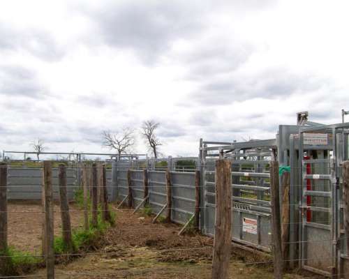 4.000 Ha Estancia en Urutau Sobre Ruta