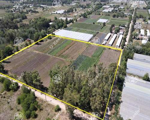 4 Has para Desarrollo en Berazategui Calle 517