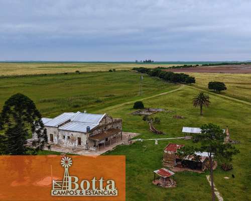 Importante Unidad Ganadera de 1800has en General Pinto BS AS