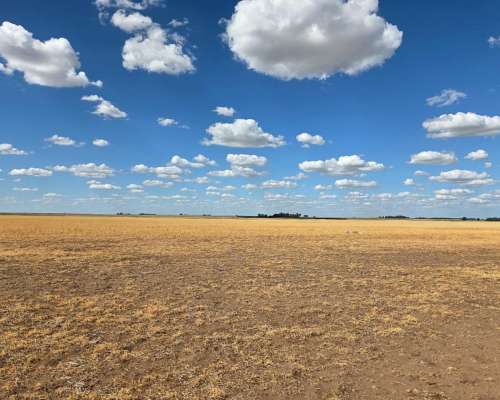 800 Hectareas en Venta