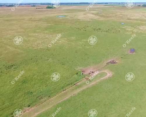 Campo Mixto en Venta 686 Has en San Vicente