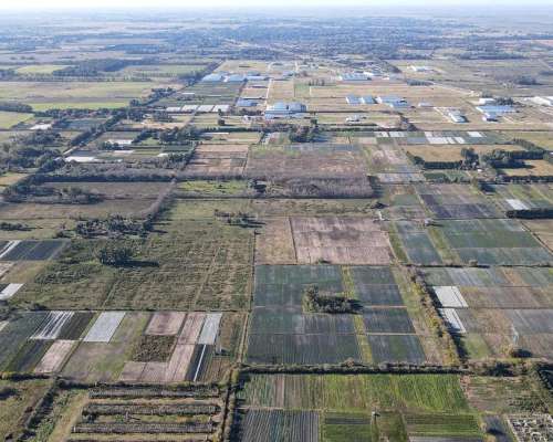 Campo en Excelente Ubicacion 100% Agricola, Cerca de Ruta 6
