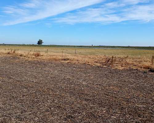Campo Mixto 70% Agricola 29% Ganadero