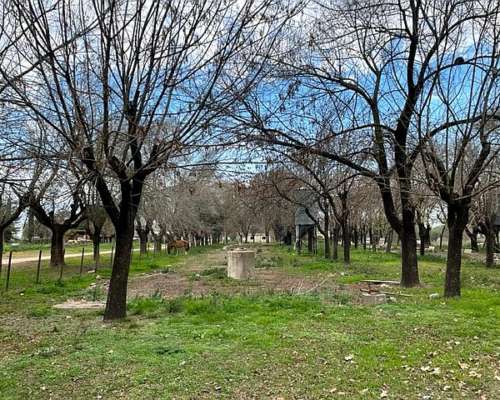 Chacra de 2 Has Sobre Ruta Asfaltada en San Pedro