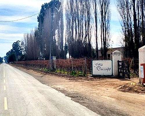 42 Ha Excepcional Finca Vitivinicola, Lavalle, Mendoza