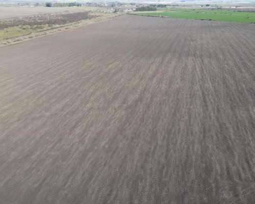 525 Hectáreas Agrícolas Sobre Ruta, San Marcial.