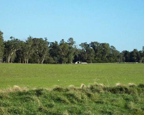 General Pueyrredón, Buenos Aires - 575 Ha