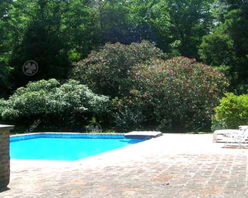 Chacra de 11 Has en Castelli - Ideal Fin de Semana