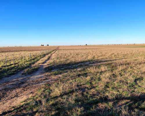 160ha en General San Martin la Pampa