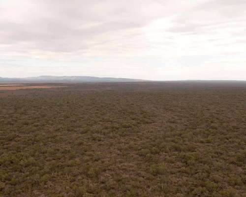 Pcia. de Salta - el Quebrachal 645 Has