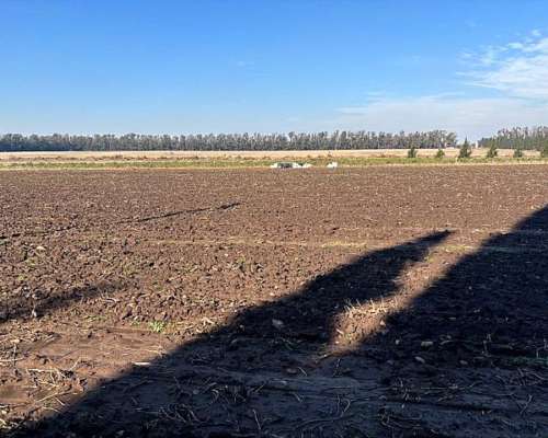 Campo de 2,5 Has en San Pedro Buenos Aires