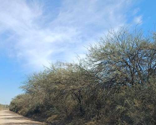 900 Has en OJO de Agua Sobre Ruta 9