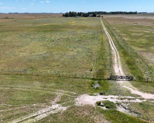 Rauch, Buenos Aires - 60 Ha