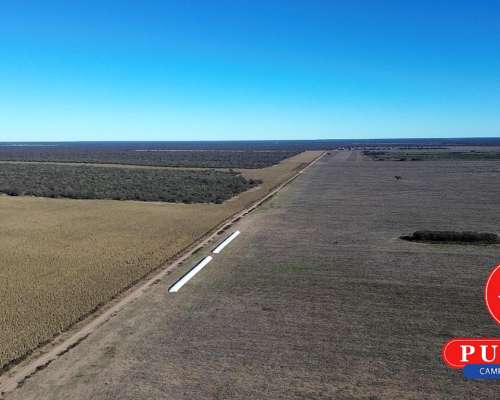 1000 HA. Agrícolas en Alquiler