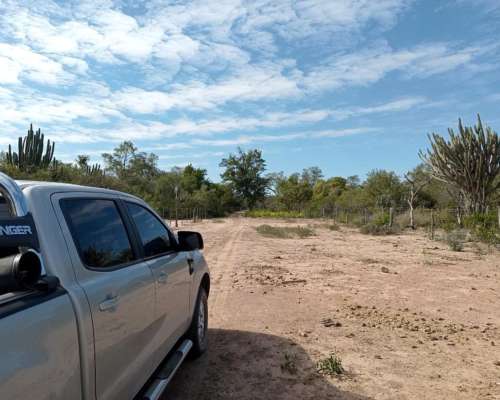Venta 892 Hect. Campo Miraflores Chaco