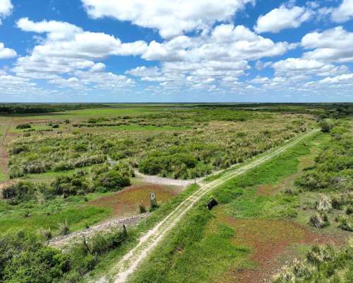 Pcia. de Corrientes - Malvinas 10808 Has