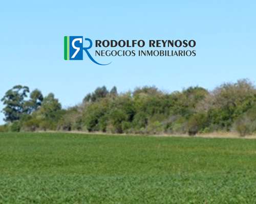 50 HA. en Colonia Elía (entre Ríos)