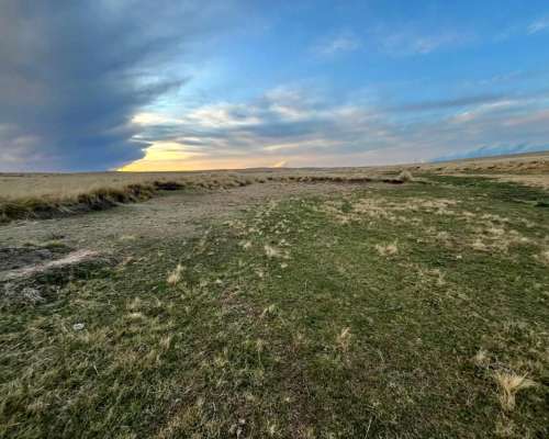 Venta Campo Ganaderas en la Carolina San Luis Paraíso