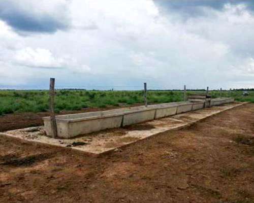 Patiño , Formosa - 7058ha