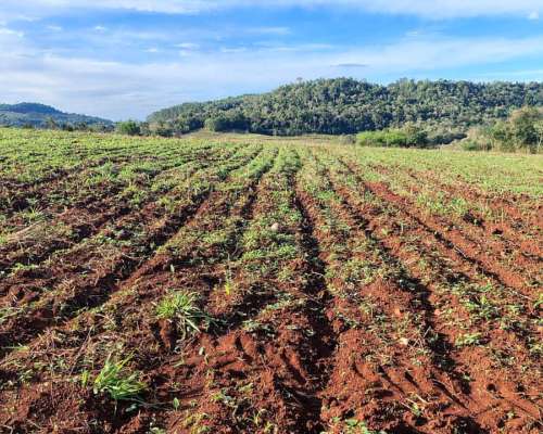 Oferta Chacra con Monte Nativo
