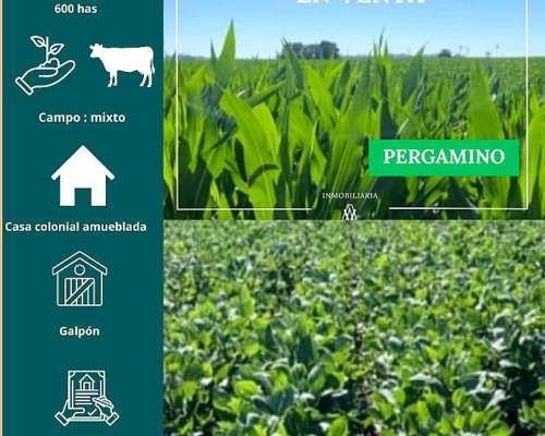 Campo en Pergamino 690 Has
