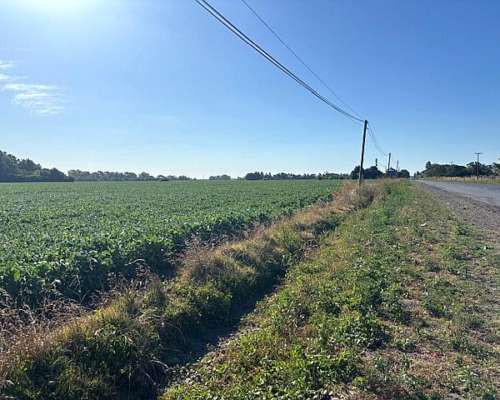 10 Has Sobre Ruta con Acceso a Luz, Agua y GAS Natural.