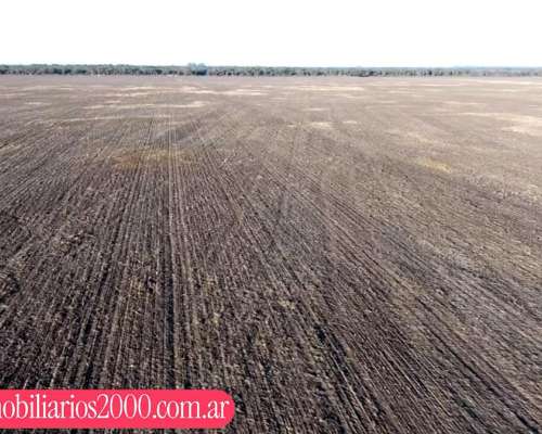 Córdoba la Francia 150 Has Agricolas
