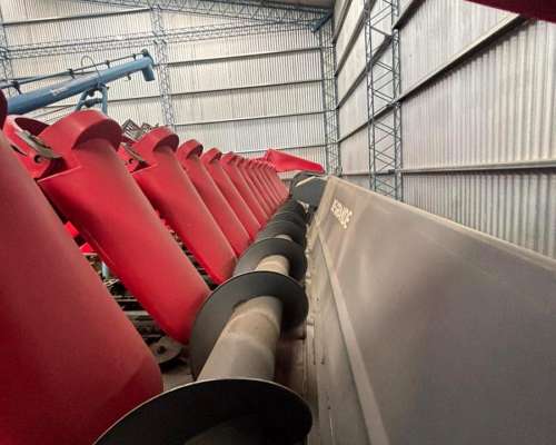 Maicero de Grande 1652 - Excelente Estado