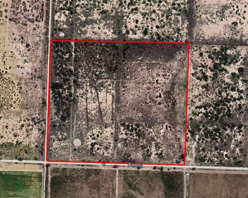 Finca Campo de 22ha en Jocolí, Mendoza.