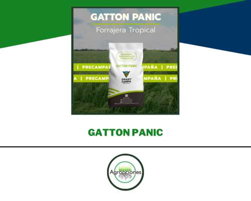 Precampaña de Forrajeras Tropicales - 10% OFF Hasta el 30/04