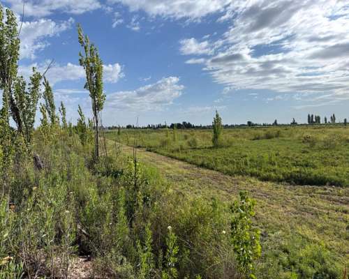 Finca 21.5 Ha en San Roque, Maipú