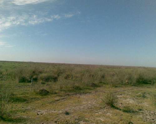 1200 Has Ganaderas a Desarrollar en Nueva Italia