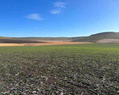 Tandil, Buenos Aires - 850 Ha