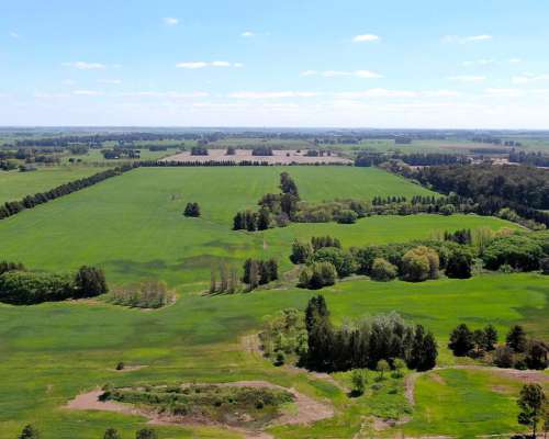 74 Has en Campana, BS. AS. - Agrícola/desarrollo - Venta