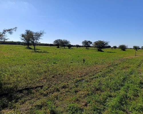 Campo Mixto Agrícola-ganadero en Venta – Dpto. 9 de Julio