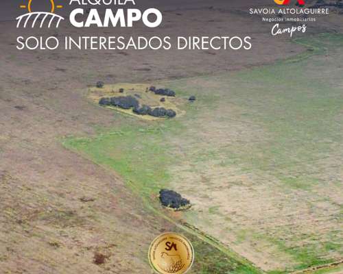 Alquila: Campo Agrícola de 1000 Ha en “EL Tala” la Pampa