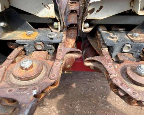 Maicero Maizco - año 2009