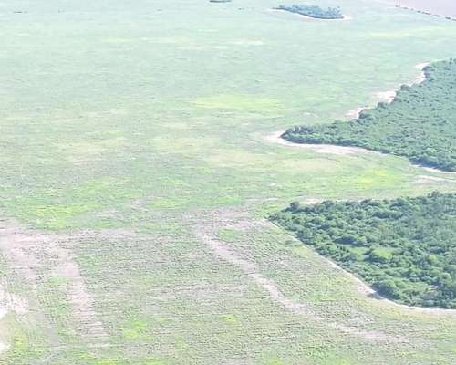 Chaco Frentones 630 Has