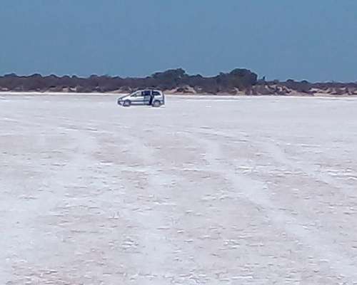 Se Vende Campo de Salinas Blancas en Córdoba