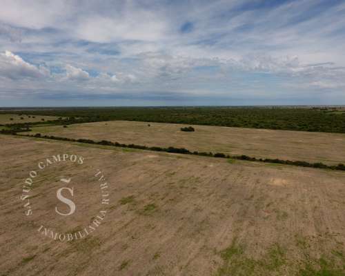 Venta Campo Mixto. Tostado, Santa FE. 425 Hectáreas.