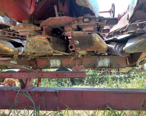 Vendo o Permuto Mainero 1889 (9 a 52cm )