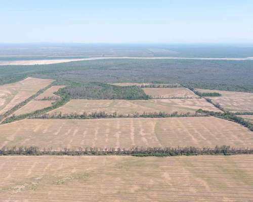 Pcia. de Salta - Embarcacion 1370 Has