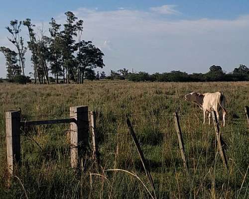 Chacra en Guaviravi Provincia de Corrientes