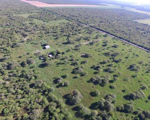 Campo Ganadero en Venta - 118 Has- Bovril, Dpto la PAZ