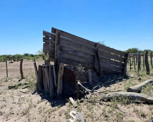 Vende: Campo de 12.342 Hectáreas, Limay Mahuida, la Pampa