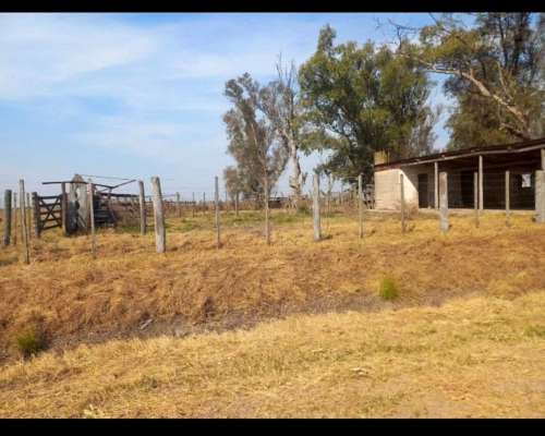 Campo Ganadero en Santa Clara de Buena Vista
