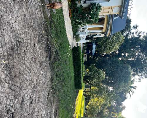 Campo Mixto de Gran Receptividad Excelente Ubicación