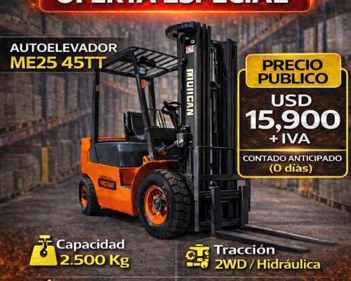 Autoelevador Michigan ME25 - 545tt Torre Triple- Servicampo